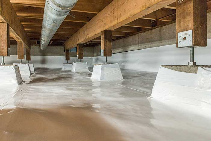 How Moisture in Crawl Spaces Leads to Hidden Mold Growth and What to Do About It